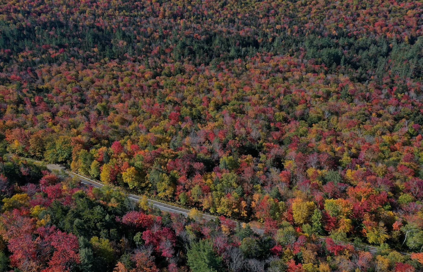 Autumn color over the woods around Malpeque Bay